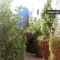 Apartamento Ayaraba, Agadir
