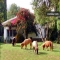 Preciosa casita