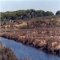 Desgustaci�n pescados de estero