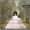 Finca Avenida Olivar
