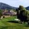 Pula Golf