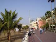 Foto Canarias | Gran Canaria