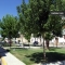 Zona tranquila y de f�cil aparcamiento