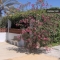 Casa Maria en El Palmar, Costa de la Luz, C�dis