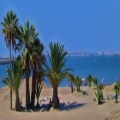 El Puerto de Santa Maria El Puerto de Santa Maria Callejero | Cadiz Turismo