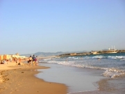 Imagem Facinas | playa de los lances