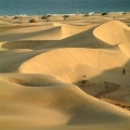 Gran Canaria Gran Canaria | Islas Canarias | Espa�a