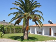  Hoteis | Hostal El Levante