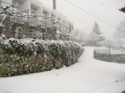  Hotel | Hotel Berne