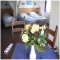City Hotel, 