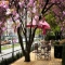 Hotel Okura Amsterdam, 