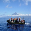 Foto avistamiento de cetáceos | Islas Azores