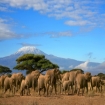 hoteles Africa