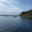 charter | Albufeira | Algarve