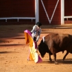 La Corrida, Tarifa, C�diz, Costa de la Luz, Andaluc�a