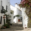 Castellar de la Frontera, Provincia C�diz
