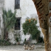 Castillo de Castellar, Provincia C�diz