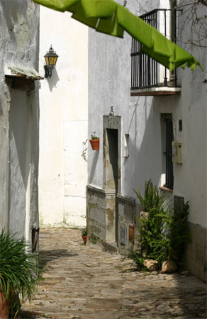 Castillo de Castellar, Provincia C�diz