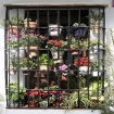 una Ventana tipico, Jimena de la Frontera, Provincia C�diz