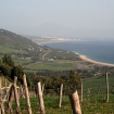 Playas de Tarifa, Monte Betis, Tarifa, Costa de La Luz