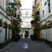 Primavera en C�diz, Costa de la Luz