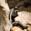 Foto angola | Angola