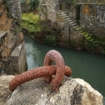 caiaque Aquit�nia