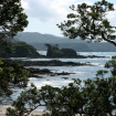Imagem pescar em bay of islands | Bay of Islands | Nova Zelândia