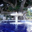 Parque Genov�s, C�diz, Costa de la Luz