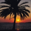 Foto alquilar | Cala Millor