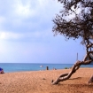 praia | Canyamel