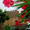 historia | Canyamel | Mallorca