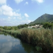 Canyamel 