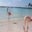 caribe | Caribe | Centroamérica