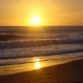 Conil