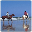 Imagen montar a caballo | Conil de la Frontera | Costa de la Luz