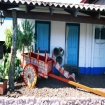 Foto costa rica | Costa Rica