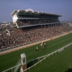 Foto hipódromo | Cotswolds | Inglaterra