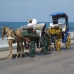 Foto cozumel | Cozumel