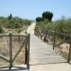 Imagen playas | El Rompido | Huelva Provincia