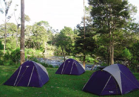 camping