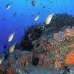 Foto buceo | Formentera