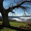 canhões de sil | Galiza | Turismo Rural