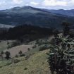 guatemala | Guatemala | Centroamérica