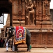 india | India | Asia