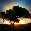 Imagem isla cristina | Isla Cristina | Huelva Província