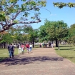 Foto caminhadas | Lagoa