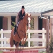 Imagem montar a cavalo | Maiorca | Espanha