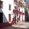 hostal | Marbella | Málaga Provincia