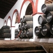 rota dos vinhos | Matalascanas | Costa da Luz
